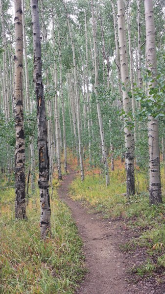 20150827_112217_Richtone(HDR)