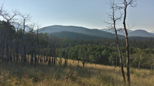 20150819_073818_Richtone(HDR).jpg image