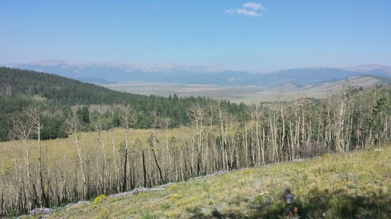 20150819_100552_Richtone(HDR).jpg image