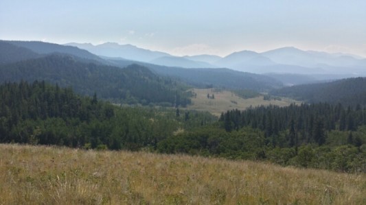 20150819_102328_Richtone(HDR).jpg image