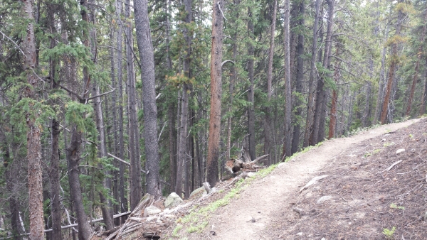 20150826_145843.jpg image