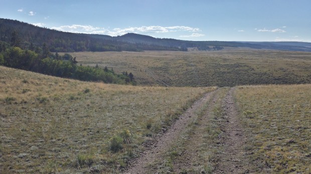 20150909_165236_Richtone(HDR)