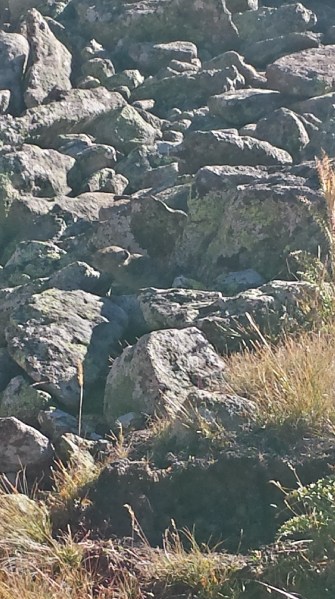 20150912_091829_Richtone(HDR)