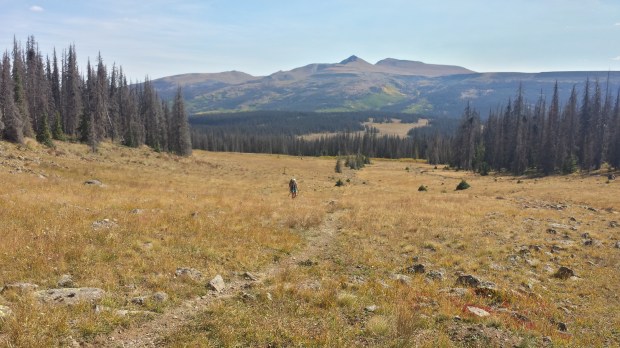 20150913_102732_Richtone(HDR)