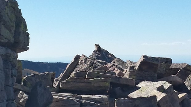 20150918_155134_Richtone(HDR)