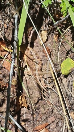 20150919_110957_Richtone(HDR)