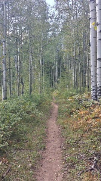 20150919_130236_Richtone(HDR)