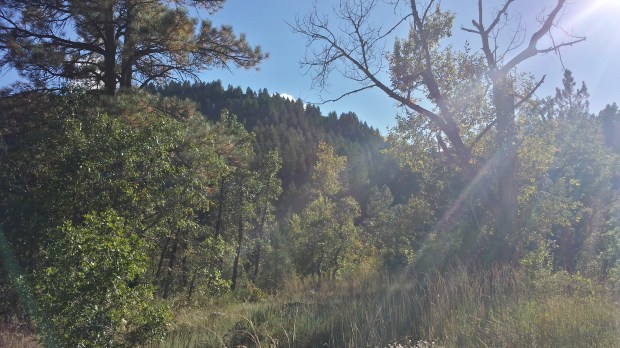 20150919_165757_Richtone(HDR)