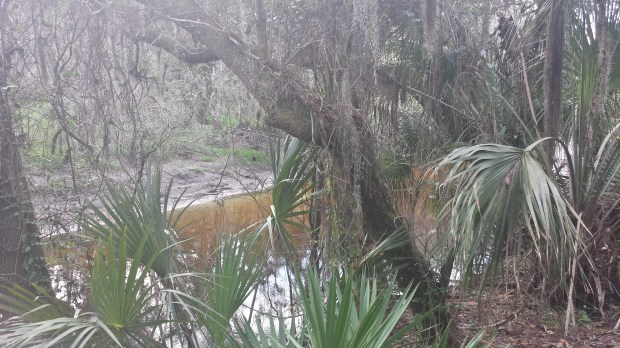 20151227_151410_Richtone(HDR)