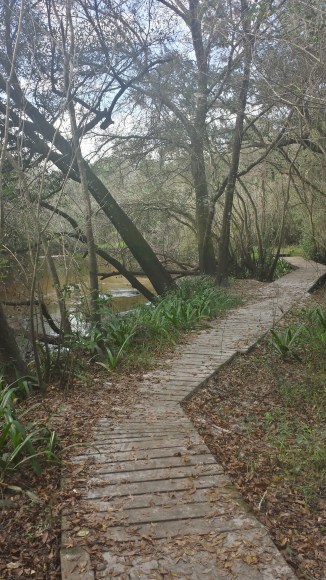 20151227_152004_Richtone(HDR)