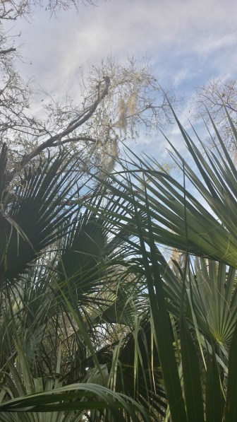 20151227_152414_Richtone(HDR)