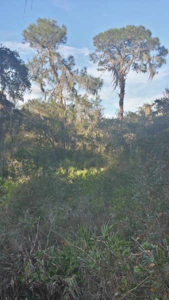 20151227_163724_Richtone(HDR)