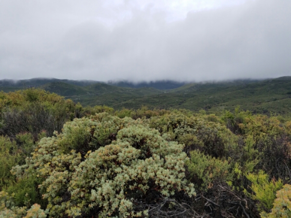 20160506_080817.jpg image