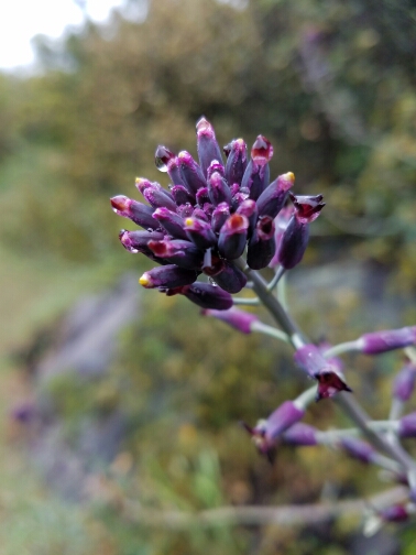 20160506_083056.jpg image