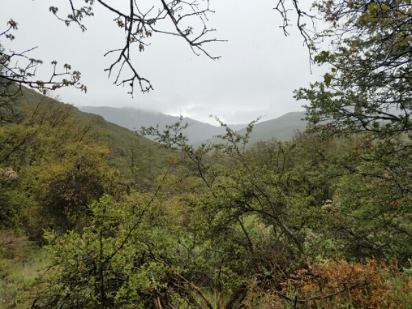 20160506_104551.jpg image