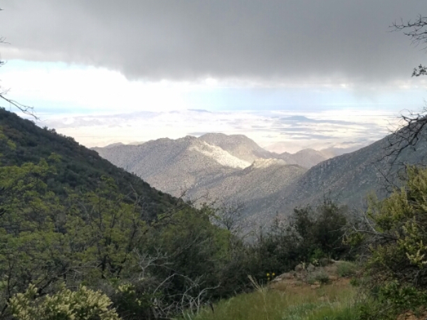 20160506_154121.jpg image