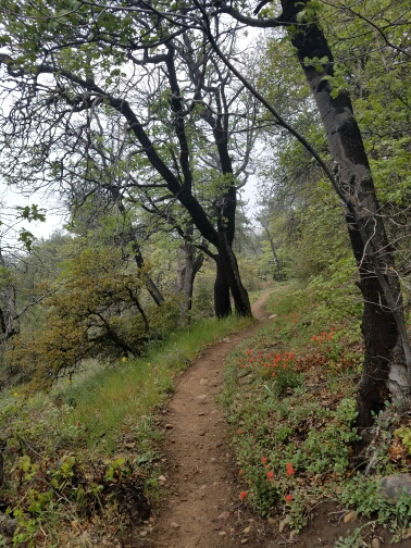 20160506_155134_001.jpg image