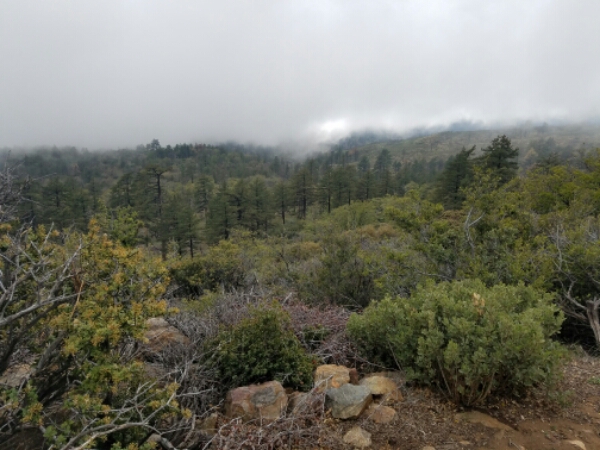 20160506_162936.jpg image