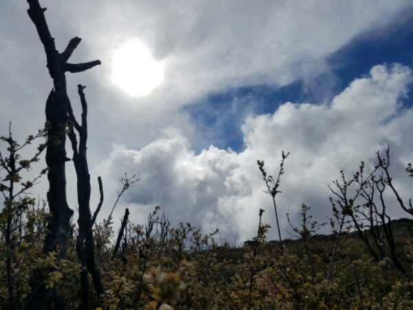 20160506_164338.jpg image