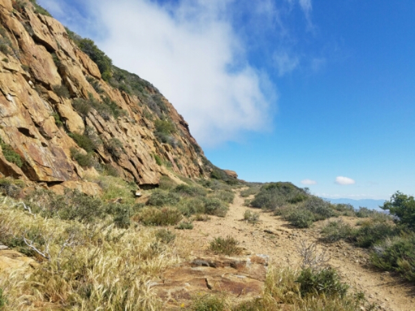 20160507_094921.jpg image