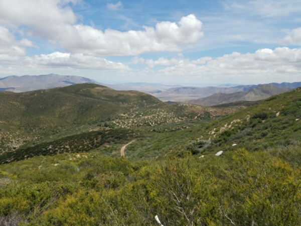 20160507_121612.jpg image