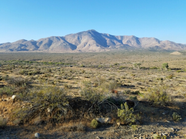 20160509_071417.jpg image