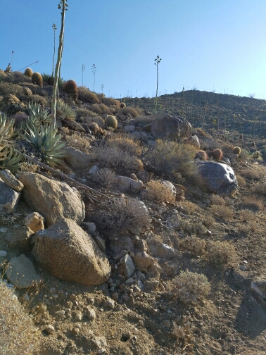 20160509_072631.jpg image