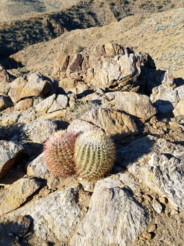 20160509_075828.jpg image