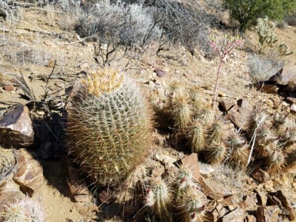 20160509_084535.jpg image