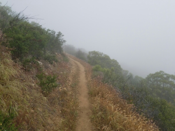 20160510_072741(0).jpg image