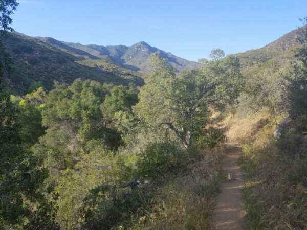 20160511_175936.jpg image