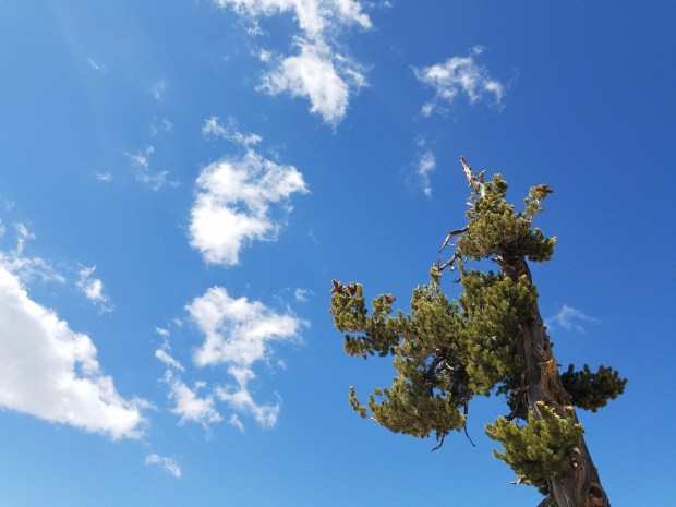 There's not as much love for Wally's cousin, Ted, though.