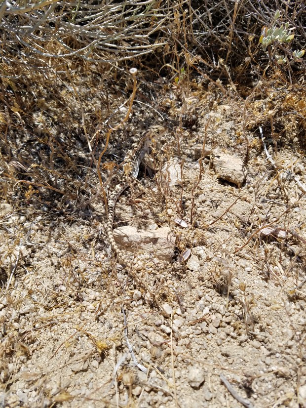 At least I have a friend. A very cooperative, posing friend.