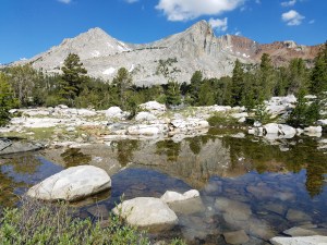 Except when I took this picture. I knew what was in store for me. Clouds of them. Just clouds.